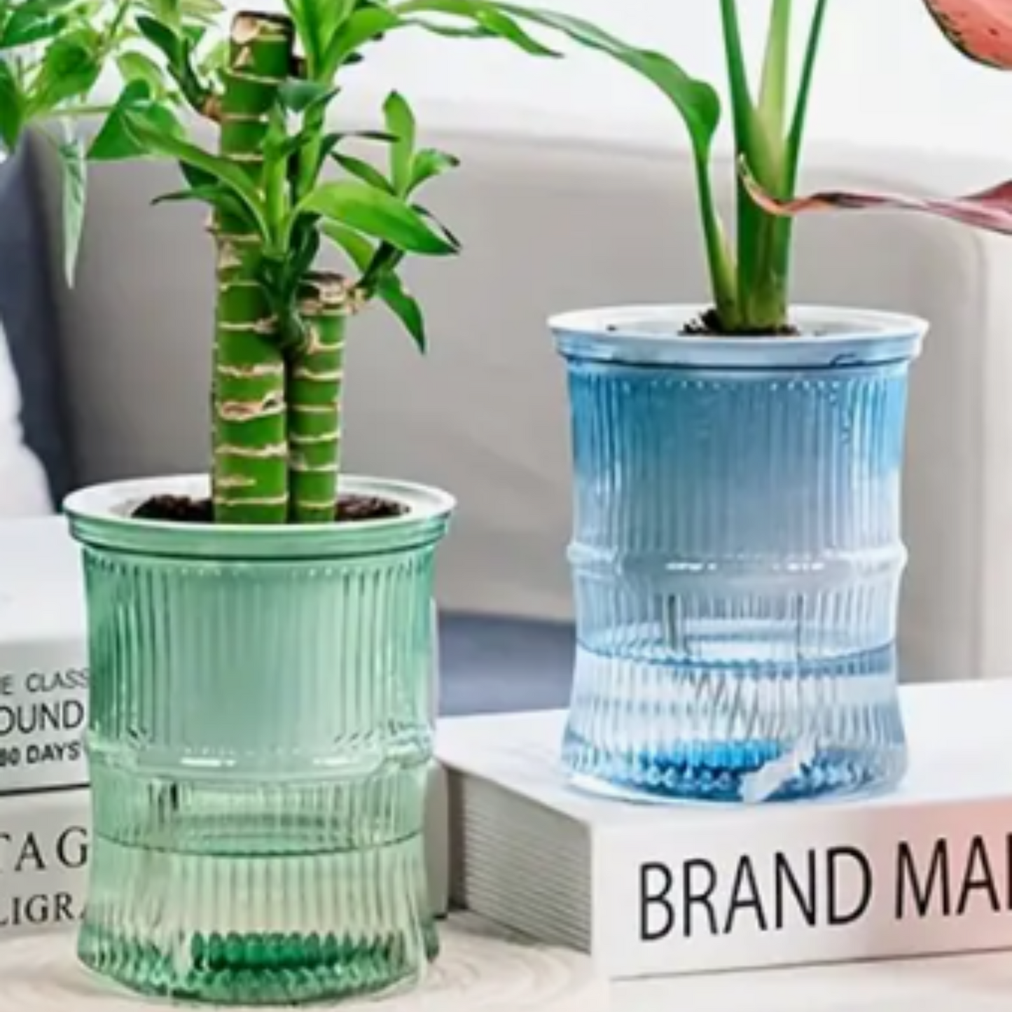 'Self-Watering' Planter