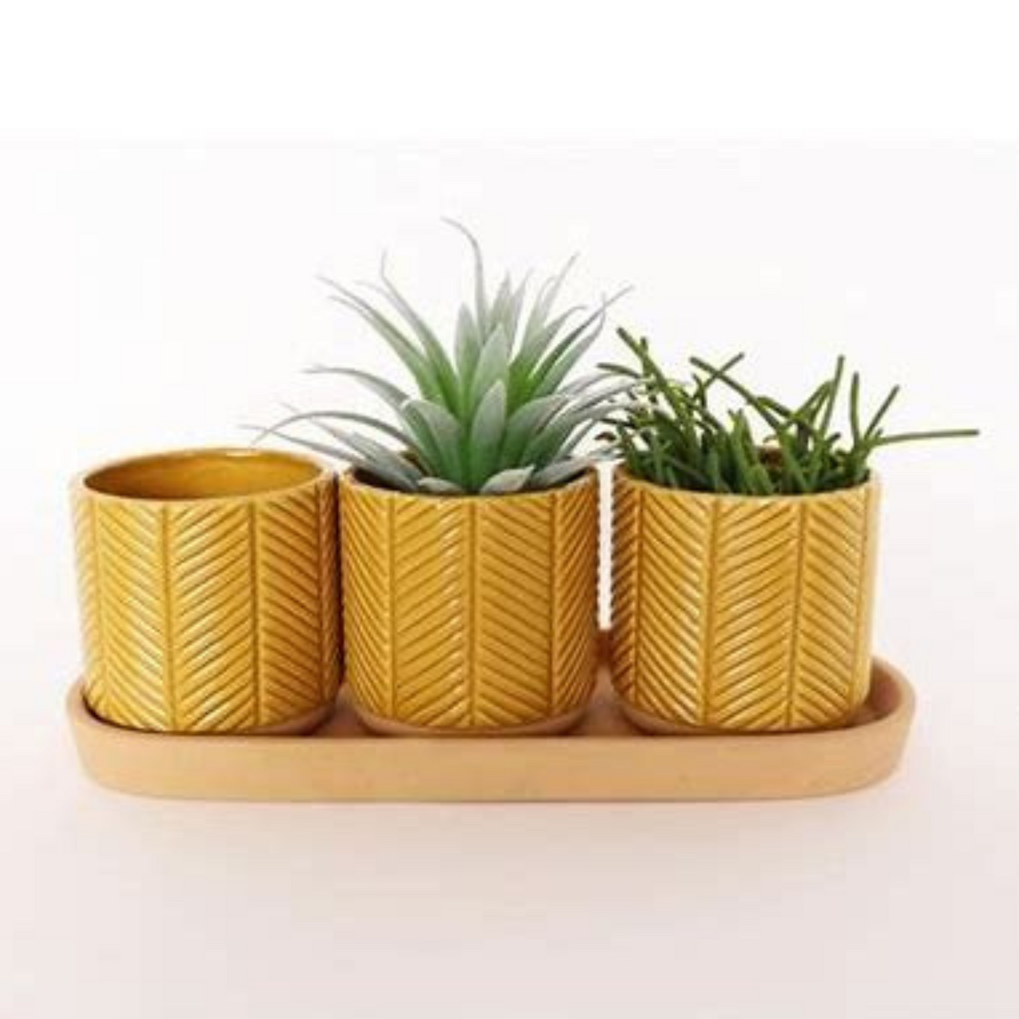 Urban 'Zari' Planter With Saucer