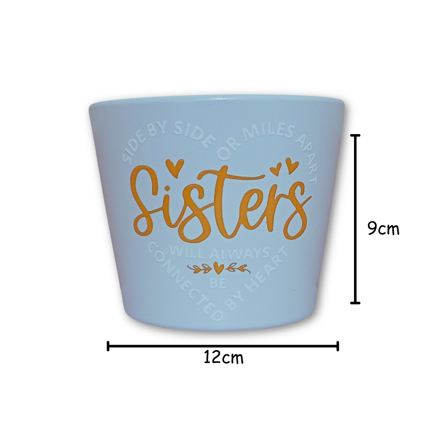 'Sisters' Planter