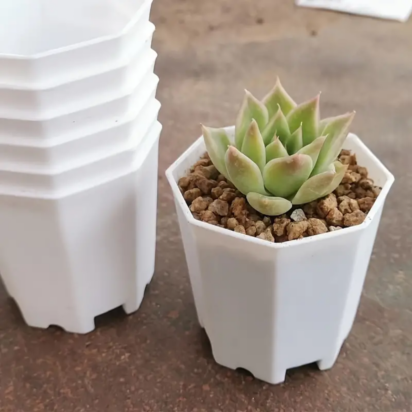 5pc Octagonal Pot Set