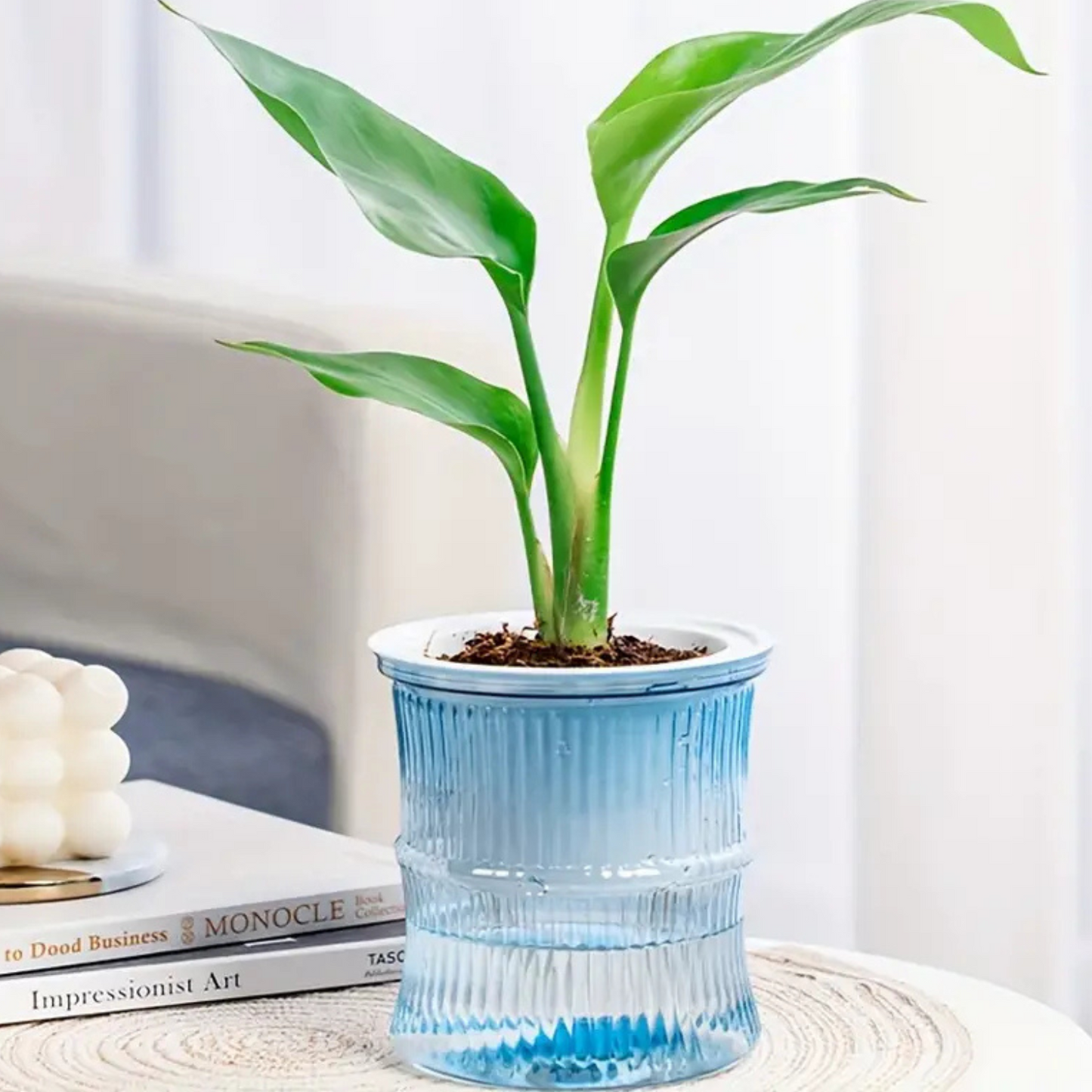 'Self-Watering' Planter