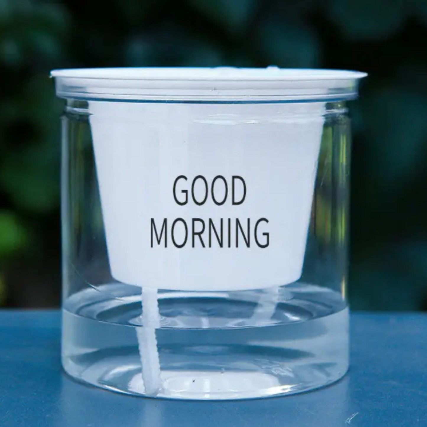 Good Morning Self Watering Pots