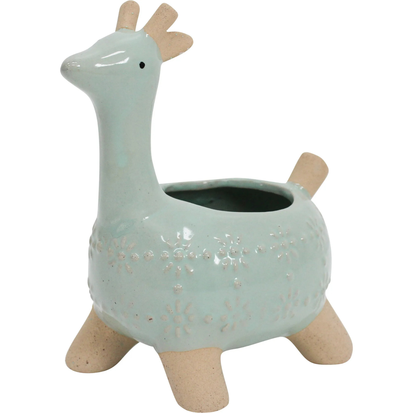 'Jaz Giraffe' in Aqua Planter