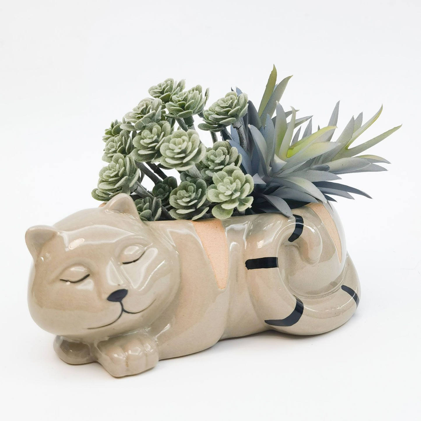 Urban 'Cat' Planter