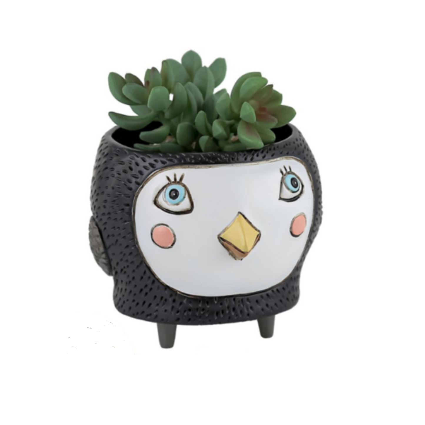 Baby BIRDIE blue-pink-black