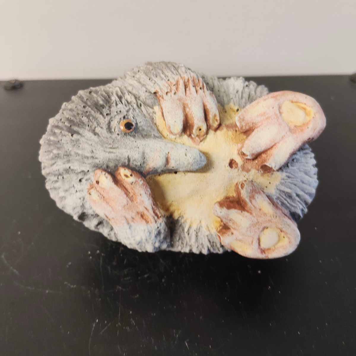 Concrete 'Echidna'