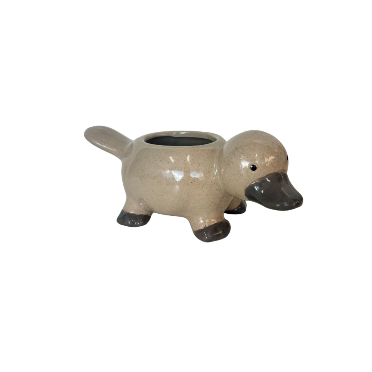 'Platypus' Planter