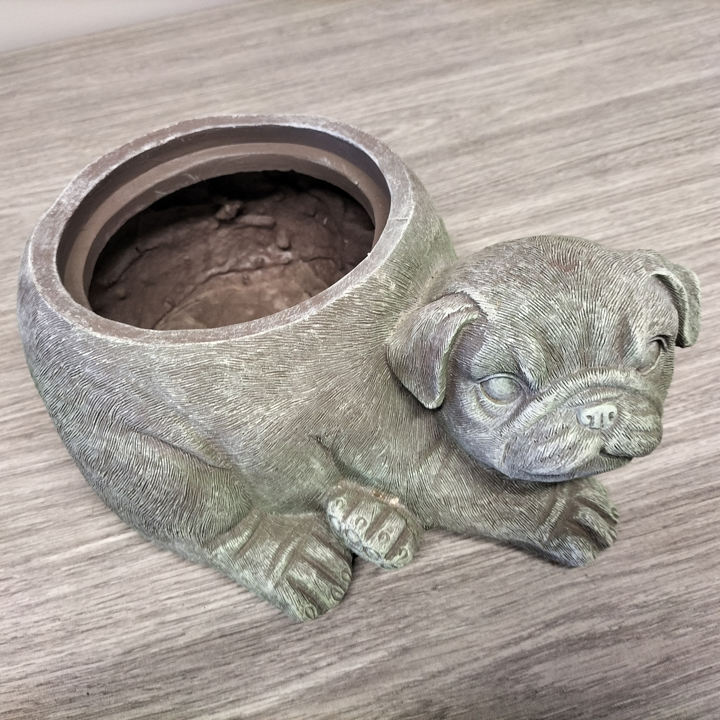 'Pug' Planter