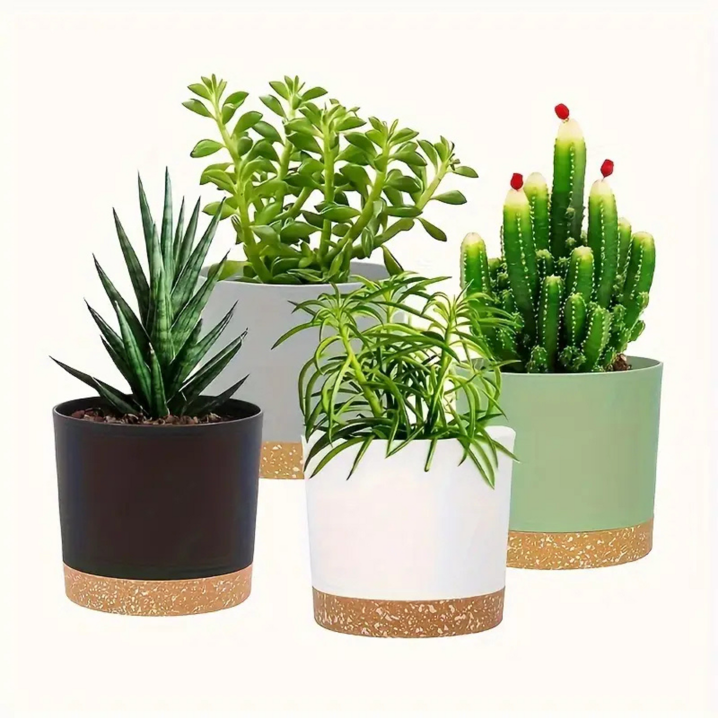 Removeable Saucer Planters (set of 2)