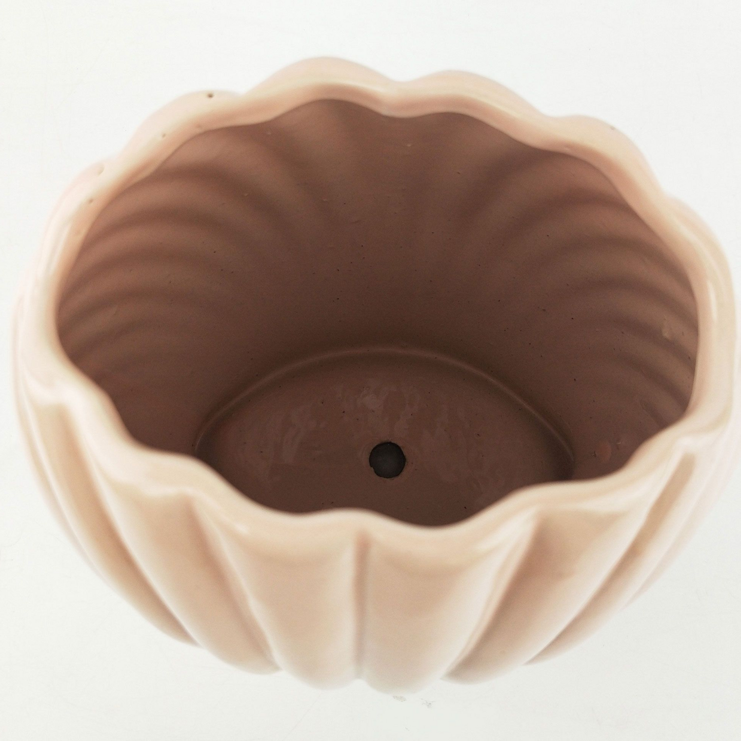 Urban 'Clam Shell' Planter