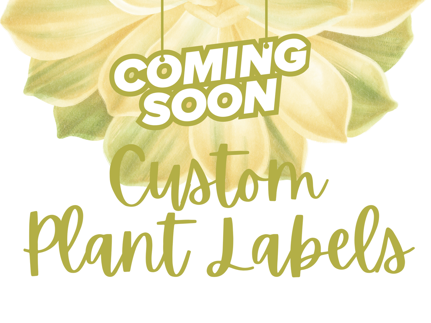 Custom Plant Labels