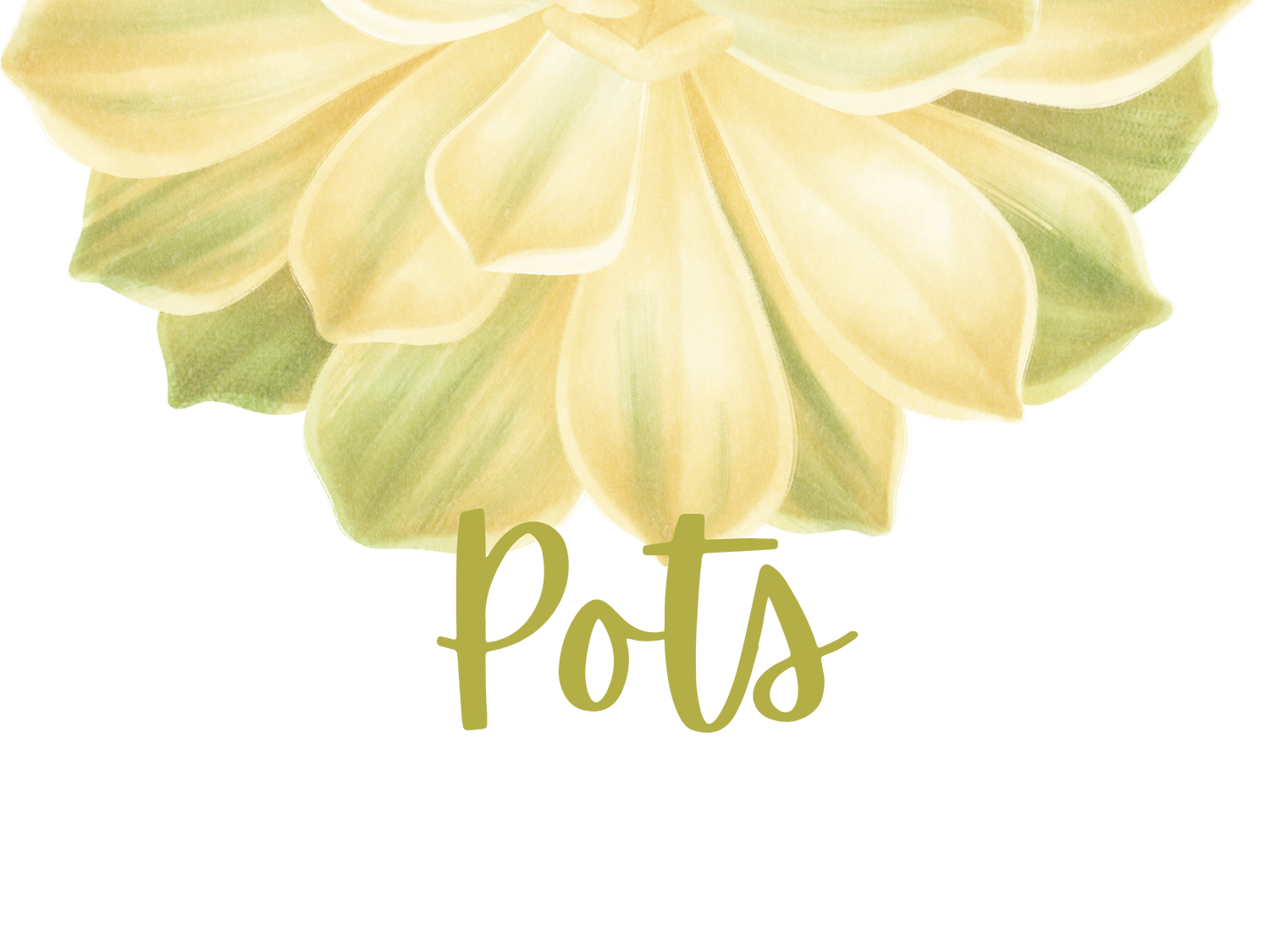 Pots