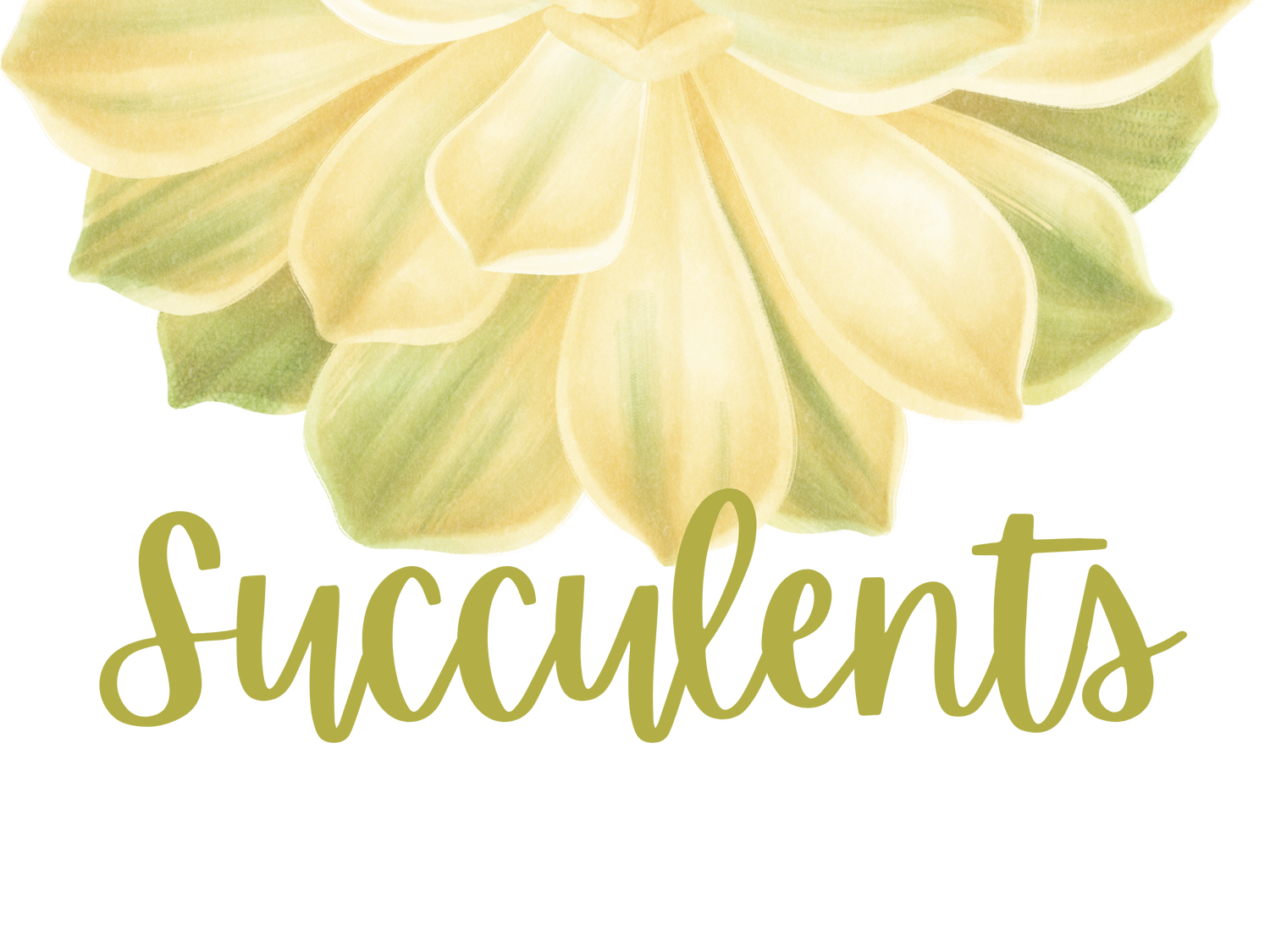 Succulents