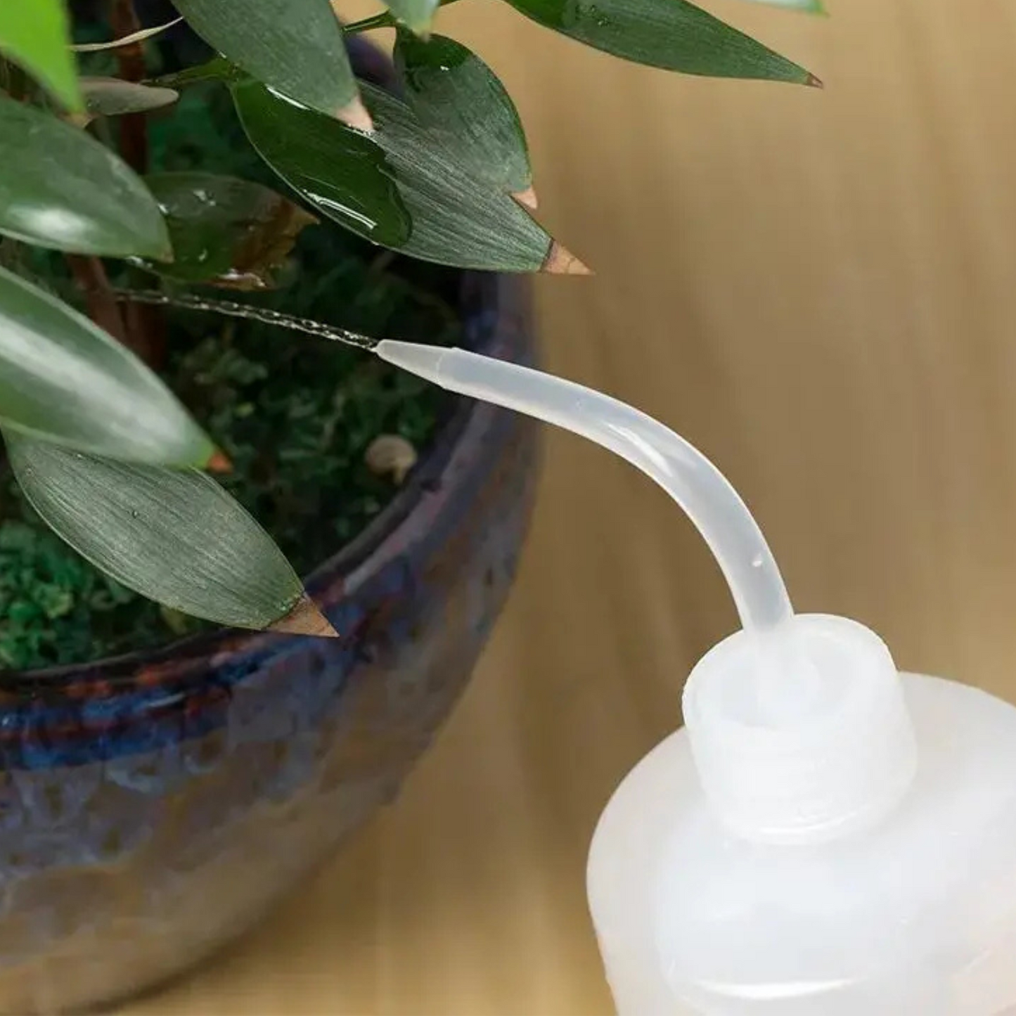 'Squeeze bottle' watering for succulents (3 sizes)