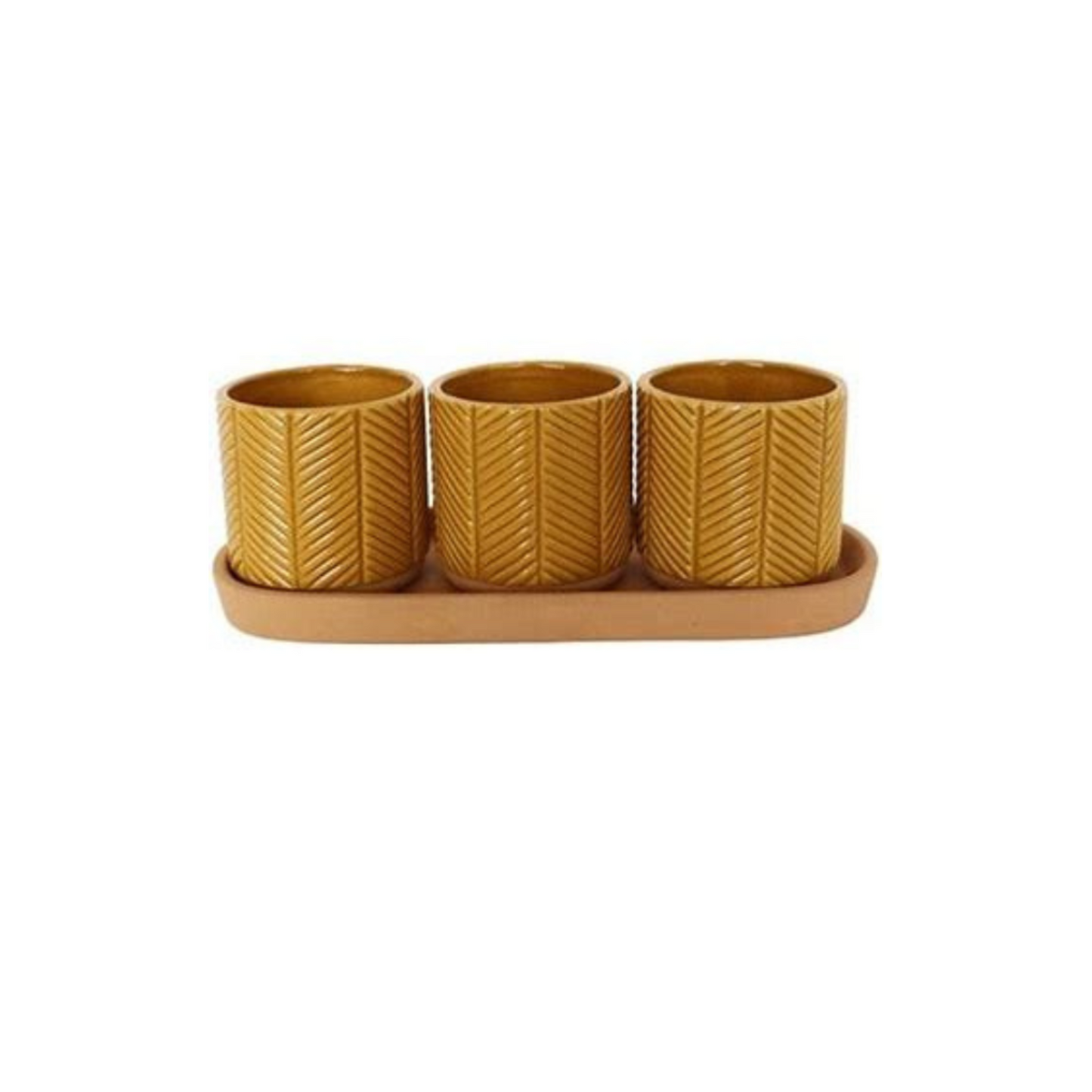 Urban 'Zari' Planter With  Saucer