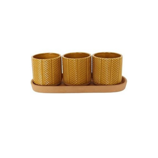 Urban 'Zari' Planter With  Saucer