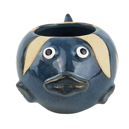 Urban "Fish" Planter