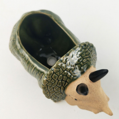'Dinosaur' Planter Dark Green