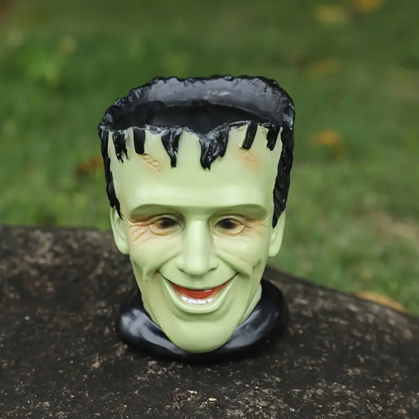 'Frankie' planter