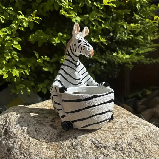 'Zebra' planter