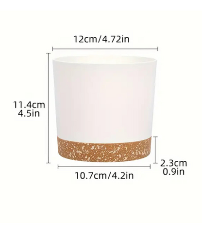 Removeable Saucer Planters (set of 2)