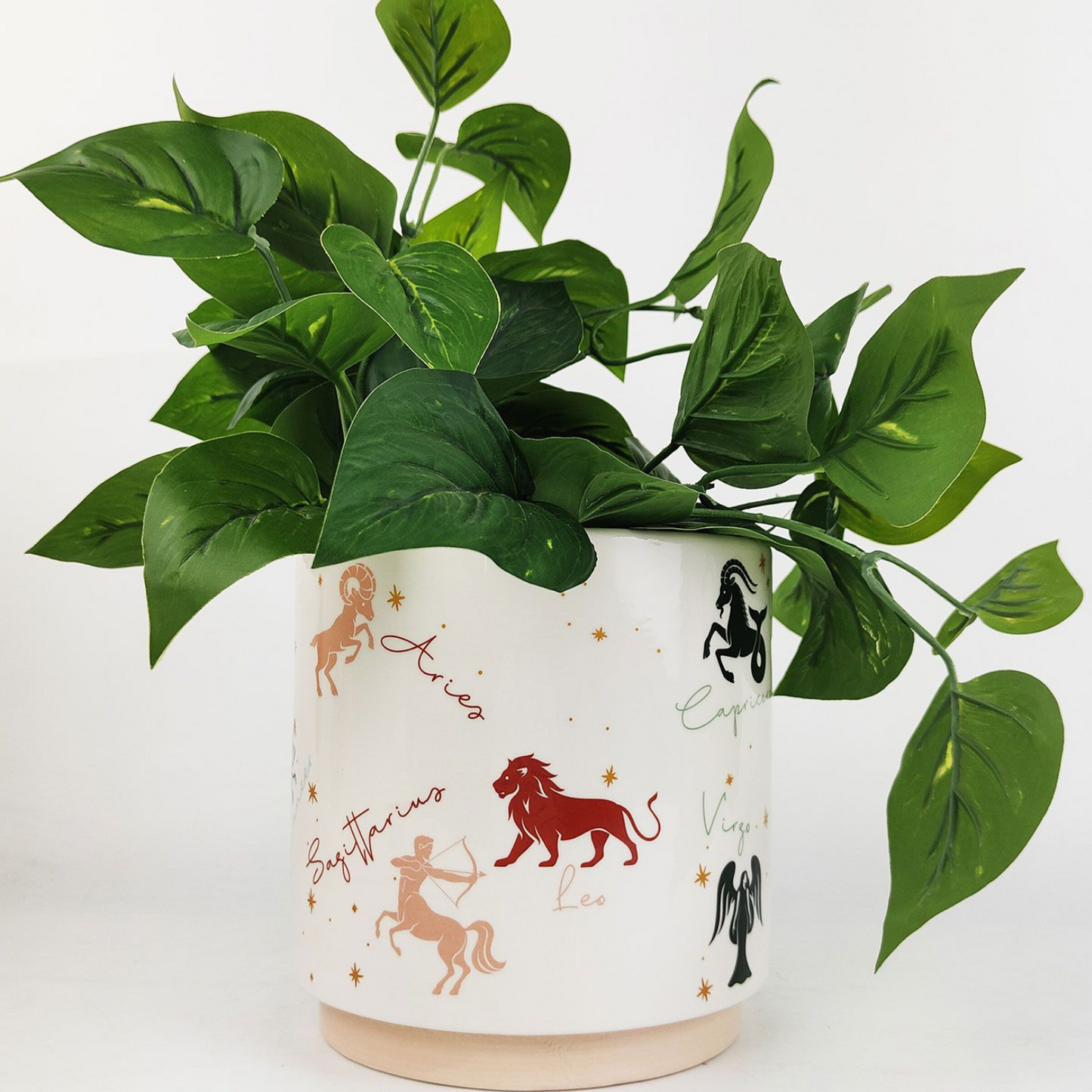 'Zodiac' Planter 16cm