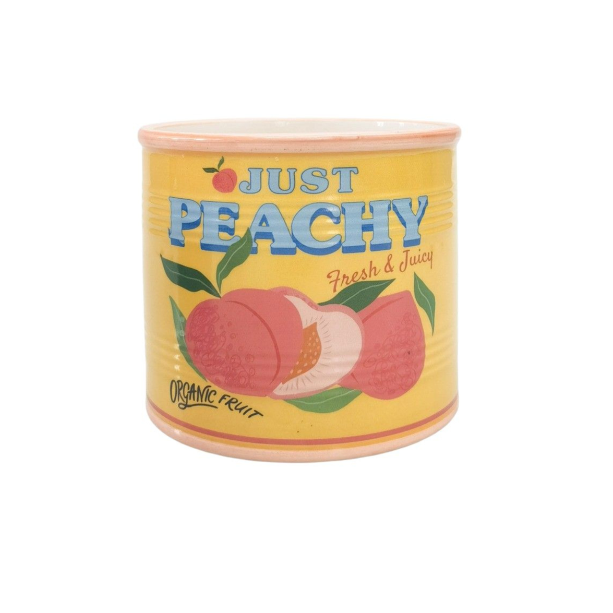 'Just Peachy' Can Planter