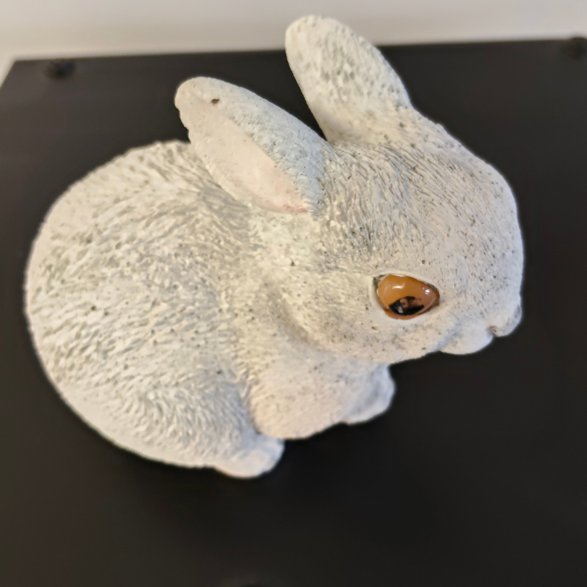 Concrete 'Rabbit'
