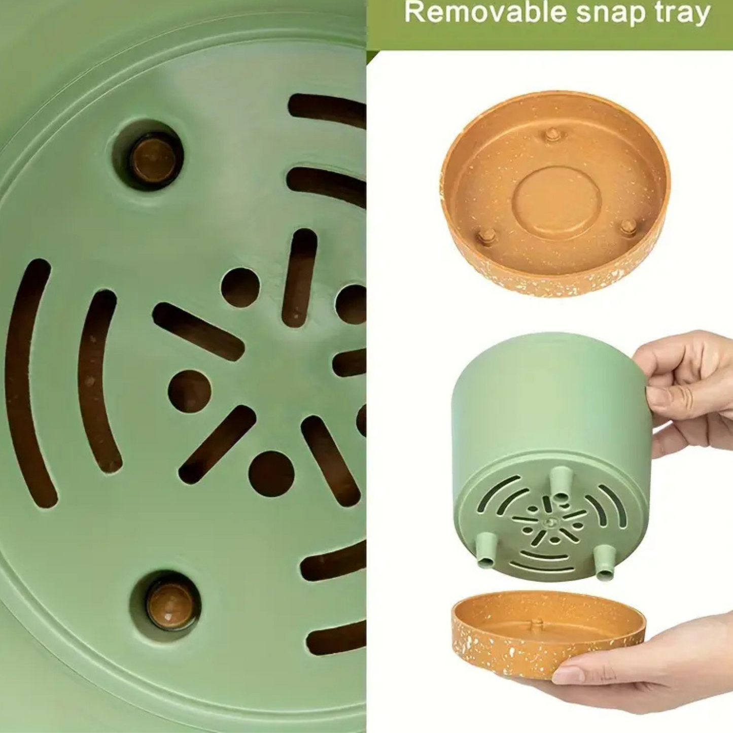 Removeable Saucer Planters (set of 2)